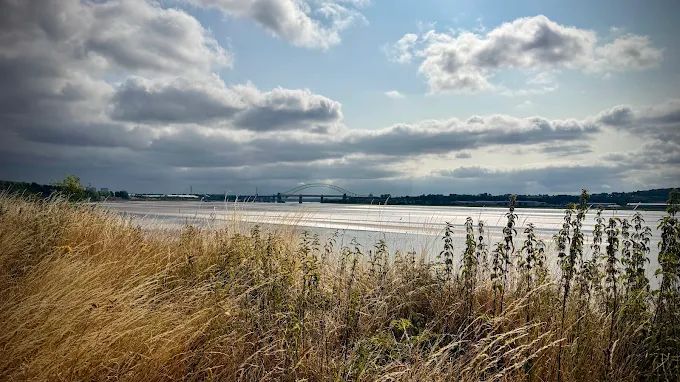 Riverside landscape at Pickering's Pasture with tall grasses and views across the Mersey